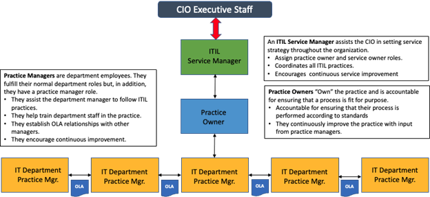 ITIL Practise Roles