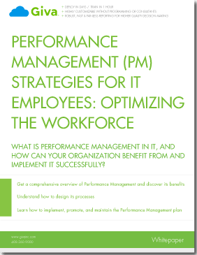 Performance Management (PM) Strategies for IT Employees: Optimising the Workforce